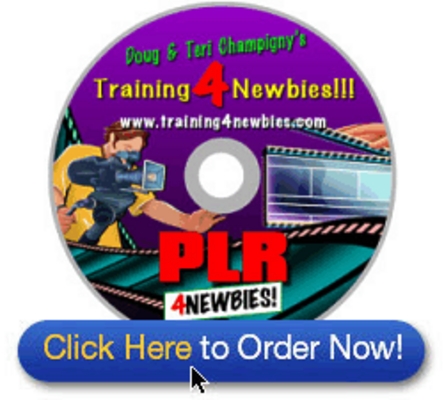 Product picture PLR For Newbies Video Series